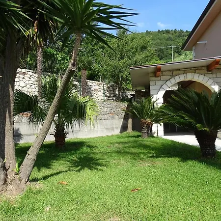 Nucria - 3*